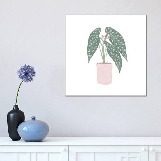 Polka Dot Begonia V by Bannarot - Wrapped Canvas Graphic Art (45.72cm H x 45.72cm W x 3.81cm D)
