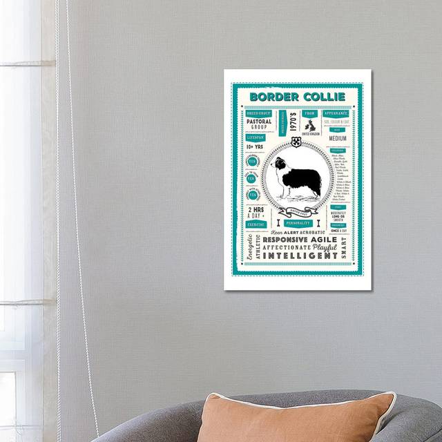 Border Collie - Rough Coat Infographic Blue by PaperPaintPixels - Wrapped Canvas Graphic Art (66cm H x 45.7cm W x 1.91cm D)