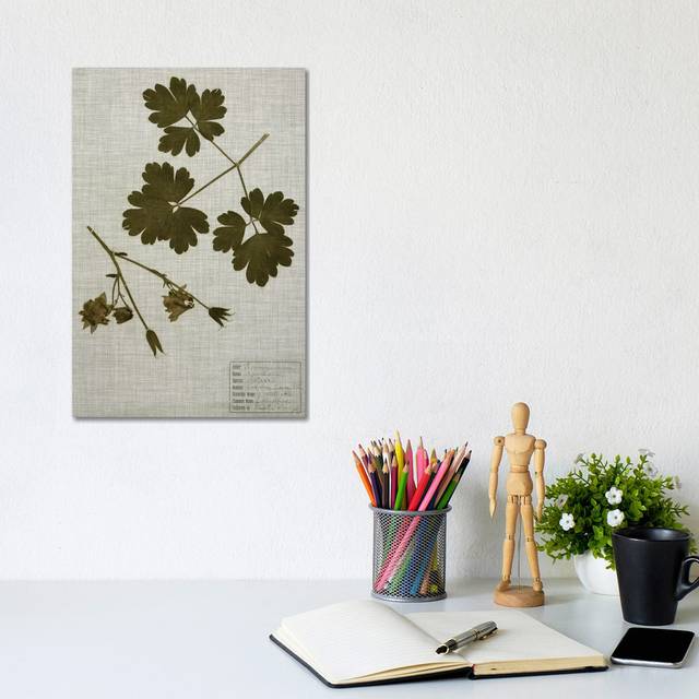 Pressed Leaves on Linen I by Vision Studio - Wrapped Canvas Art Prints (30.48 cm H  x 20.32 cm W)
