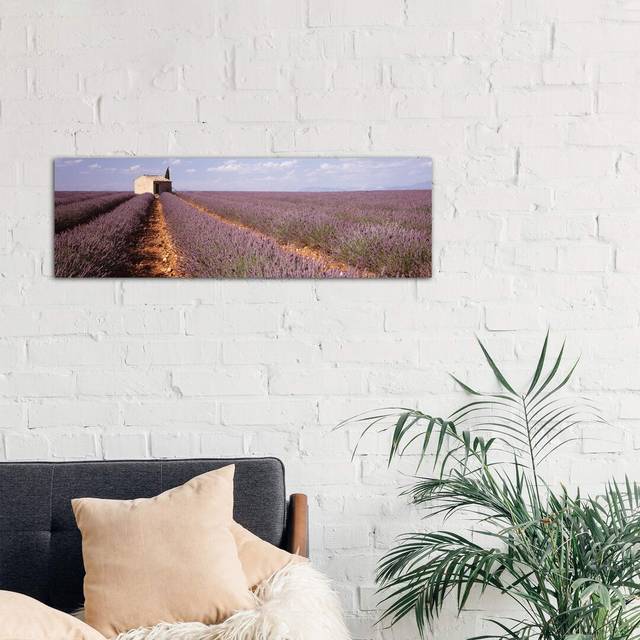 'Lone Building in a Lavender Field, Valensole, Provence-Alpes-Cote d'Azur, France' Photograph on Wrapped Canvas (121.92 cm H x 40.64 cm W x 3.175 cm D)