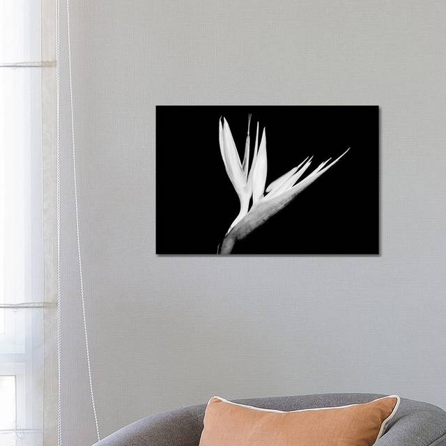 Still-Life Shot Of A Bird Of Paradise Flower - Wrapped Canvas Photograph (45.72cm H x 66.04cm W x 3.81cm D)