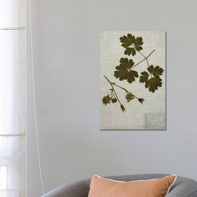 Pressed Leaves on Linen I by Vision Studio - Wrapped Canvas Art Prints (66.04 cm H  x 45.72 cm W)