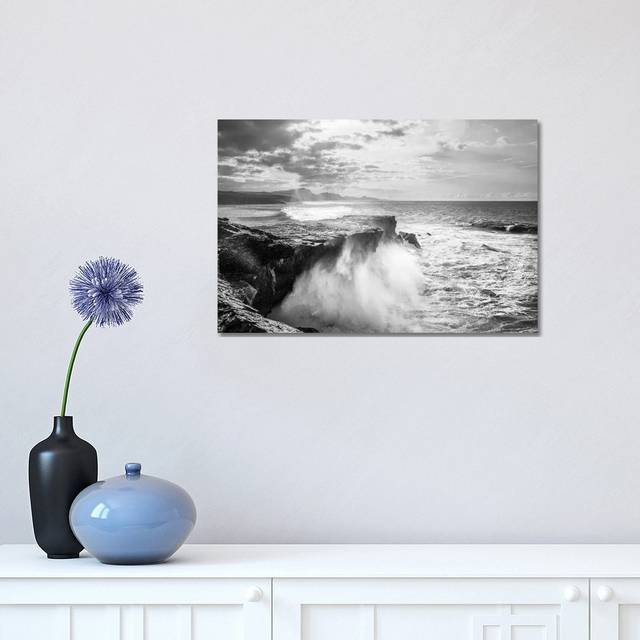 The Wild Coast (30.48 cm H x 45.72 cm W)