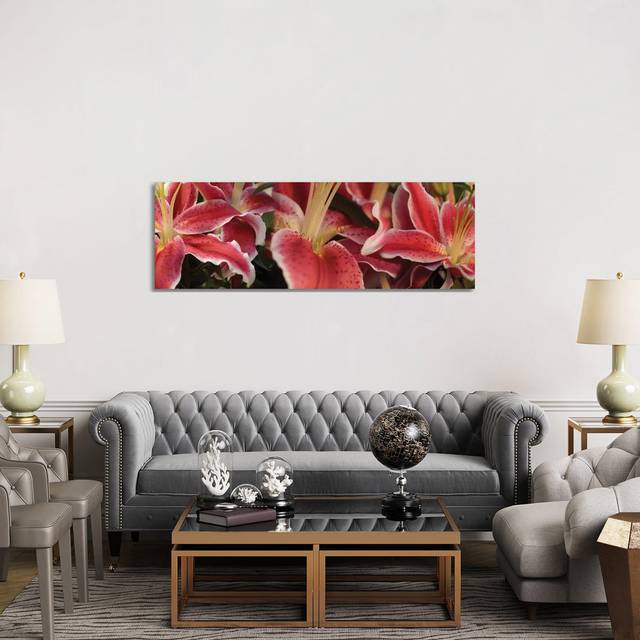 Close-Up Of Stargazer Lily Flowers - Wrapped Canvas Panoramic Photograph (152.4 cm H x 50.8 cm W x 1.91 cm D)