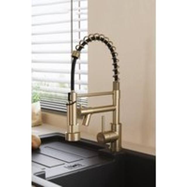 Stainless Steel Kitchen Faucet with Pull Down Spring Spout and Pot Filler - Gold - One Size