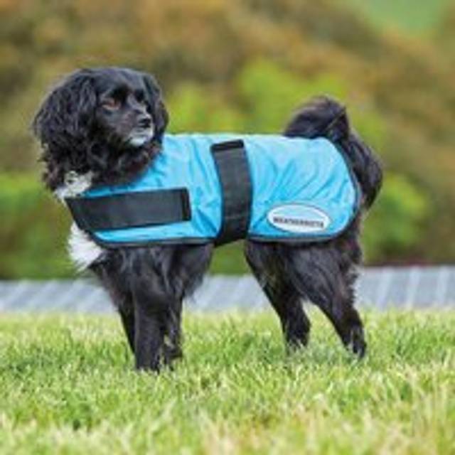 Weatherbeeta Therapy-Tec Cooling Dog Coat - Blue: 50cm Size: 50cm