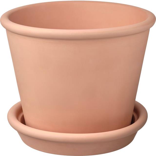 MUSKOTBLOMMA kruka med fat, inom-/utomhus terrakotta, 24 cm
