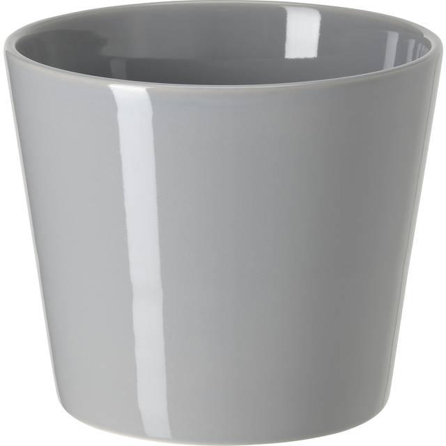 SKOGSVINBÄR kruka, inom-/utomhus grå, 12 cm