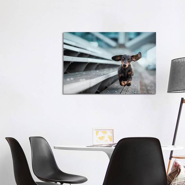 A Little Dog Runs Through the World by Heike Willers - Wrapped Canvas Art Prints (101.6 cm H x 66.04 cm W x 3.175 cm D)