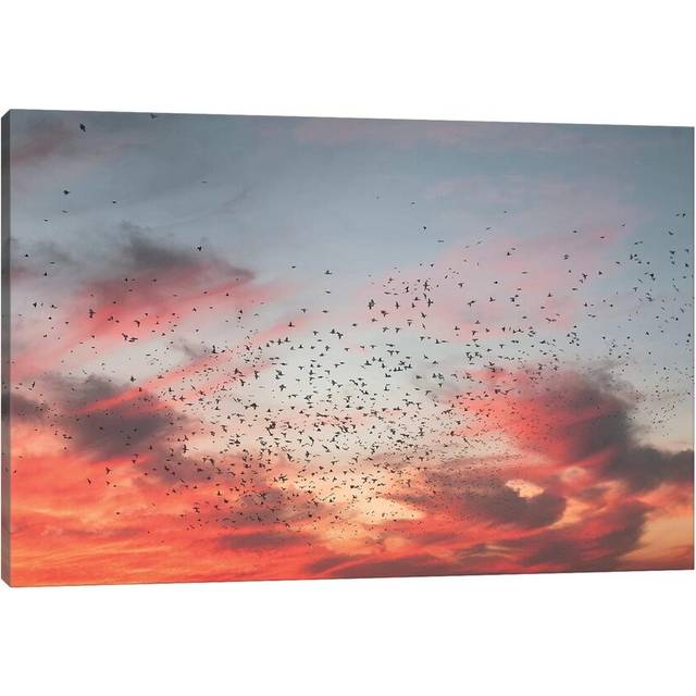 Birds of Paradise - Wrapped Canvas Painting (20.32cm H x 30.48cm W x 1.91cm D)
