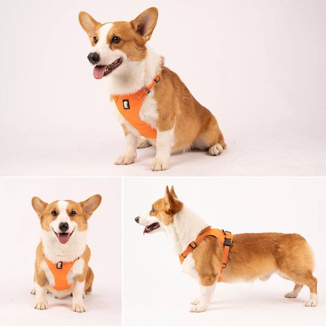 Dog Harness Reflective Adjustable Mesh Lightweight Vest for Small Medium Large Dogs Medium black