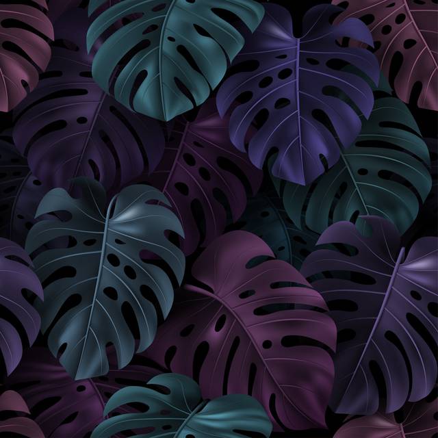 Fyllia Leaves Monstera on Dark Background by Nikolay Vdovichenko - Wrapped Canvas Art Prints (30cm H x 30cm W x 3.8cm D)