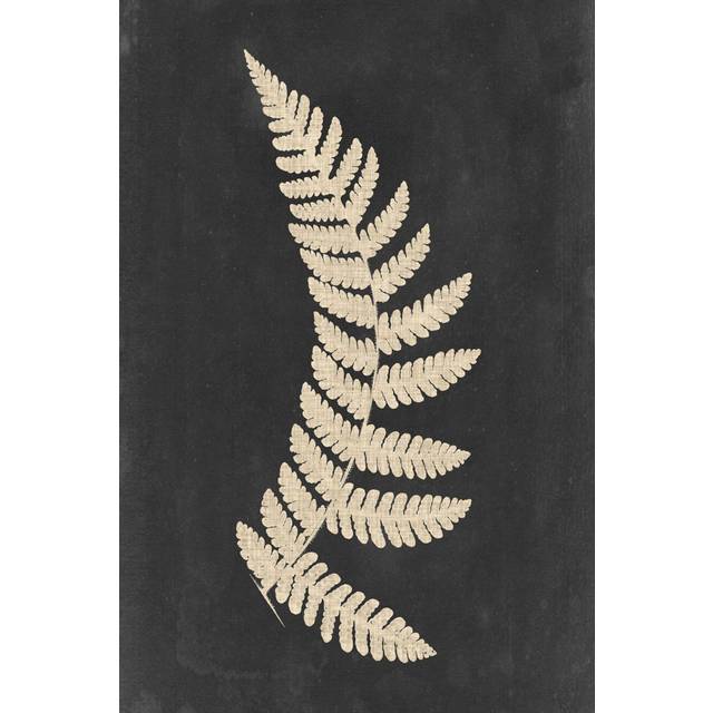 Linen Fern IV - Wrapped Canvas Painting (91cm H x 61cm W)