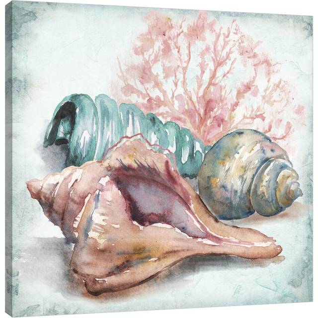 &#39;Sea Shells III&#39; by Tre Sorelle Studios Watercolour Painting Print on Wrapped Canvas (45.72cm H x 45.72cm W)