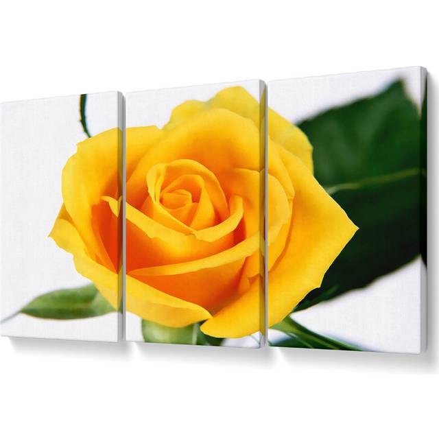 Yellow Rose - 3 Piece Wrapped Canvas Graphic Art (50.8cm H x 106.6cm W)