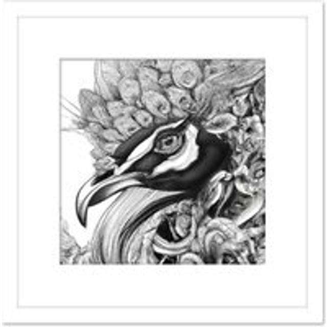 Pencil Drawing Peacock Portrait Study Black White Square Wooden Framed Wall Art Print Picture 8X8 Inch - One Size