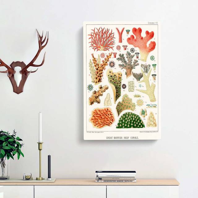 Great Barrier Reef Corals VII by W. Saville-Kent - Wrapped Canvas PaintingPrint (50cm H x 35cm W x 3cm D)