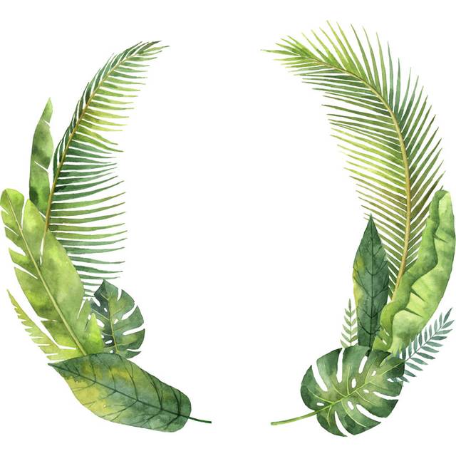 Tropical Leaves - Wrapped Canvas Painting (91cm H x 91cm W x 3.8cm D)