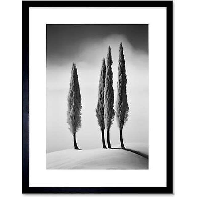 Wall Art Print Group of Cypress Trees on Snowy Hill Minimalist Black and White Photograph Cypresses in Foggy Winter Landscape Artwork Framed 9X7 Inch - W7 inch x H9 inch