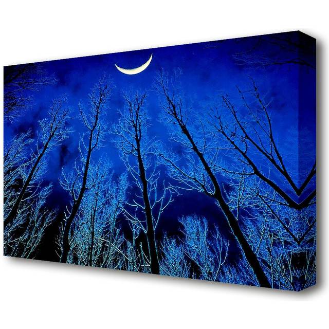 'Forest by Moonlight' Graphic Art Print on Canvas (35.6 cm H x 50.8 cm W)