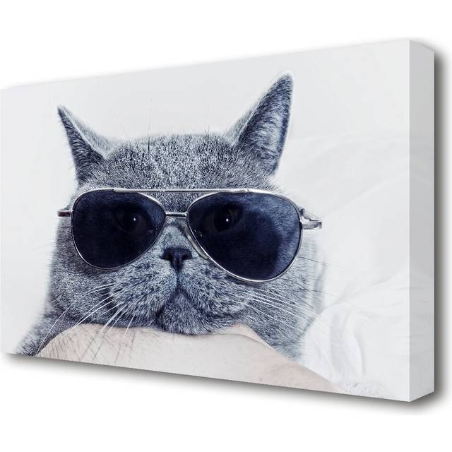 &#39;Kitty Cat Cool Wild Life&#39; Photographic Print on Canvas (35.6 cm H x 50.8 cm W)