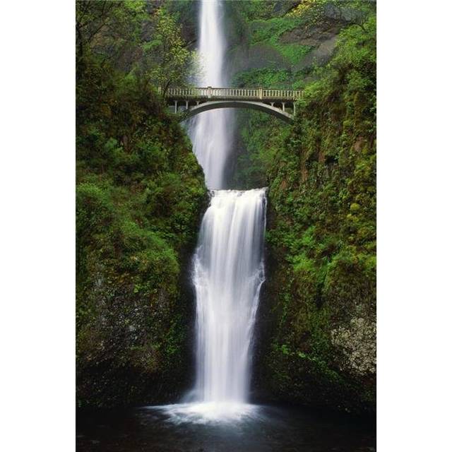Multnomah Falls Oregon USA Poster Print by Dan Sherwood, 24 x 36 - Large