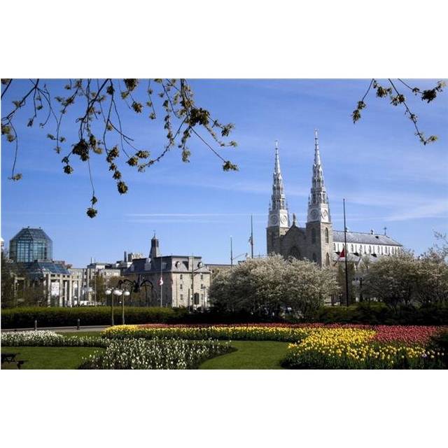 Major Hill Park Tulip Festival Ottawa Ontario Canada Poster Print by David Chapman, 36 x 24 - Large