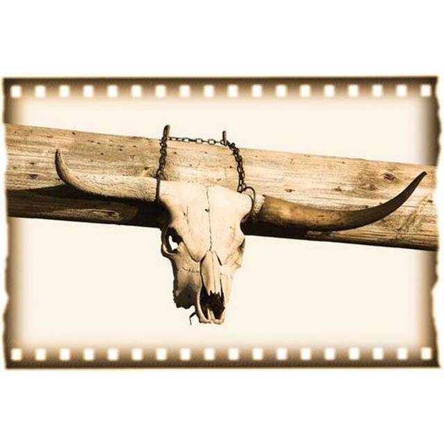 Longhorn Cow Skull Poster Print by Carson Ganci, 34 x 22 - Large