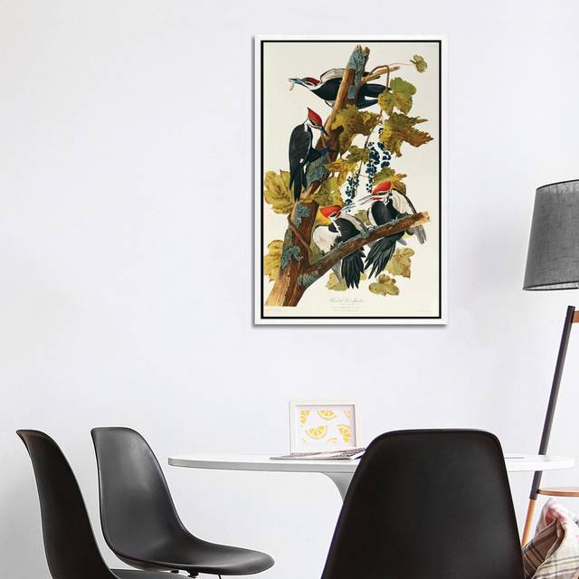 Pileated Woodpecker (Plate 111, Birds of America) by John James Audubon - Graphic Art Print on Canvas - White Framed (101.6 cm H x 66.04 cm W)