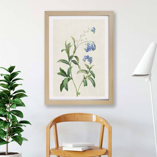 'Water Forget-Me-Not Flowers' - Picture Frame Painting Print on Paper - Oak (24cm H x 33cm W x 2cm D)