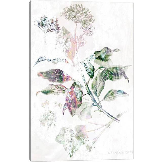 Boho Verbena Botanical by Bluebird Barn - Wrapped Canvas Painting (101.6 cm H x 66.04 cm W x 1.91 cm D)
