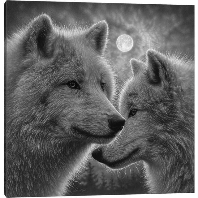 Moonlight Wolf Mates - Black & White by Collin Bogle - Wrapped Canvas Painting (45.72cm H x 45.72cm W)