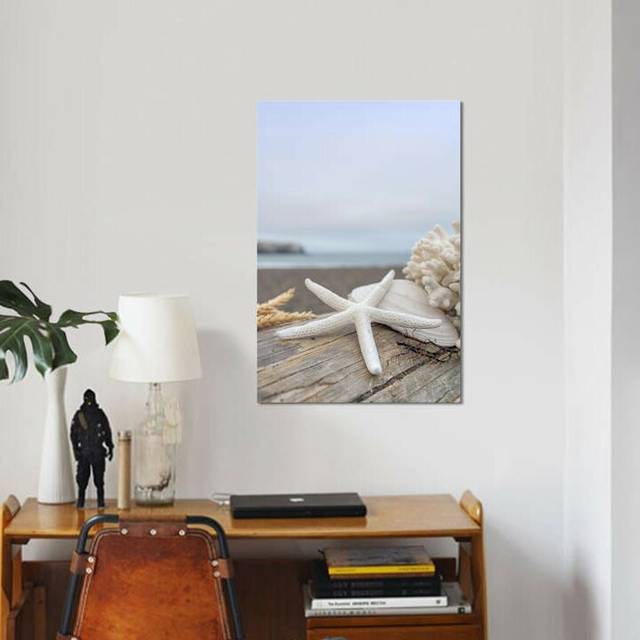 &#39;Crescent Beach Shells XIV&#39; by Alan Blaustein Photographic Print on Wrapped Canvas (66.04 cm H x 45.72 cm W x 3.175 cm D)