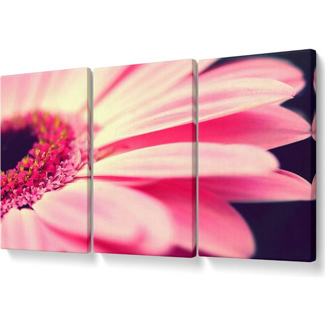 Gerbera Pink Petal Close-up - 3 Piece Wrapped Canvas Graphic Art Set (50.8cm H x 106.6cm W)