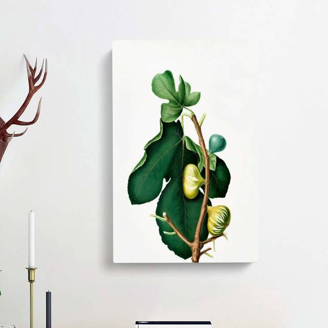 White Peel Fig Tree by Giorgio Gallesio - Wrapped Canvas Painting Print (76cm H x 50cm W x 3cm D)