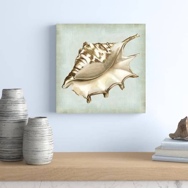 Sea Dream Shells IV by Vision Studio - Wrapped Canvas Painting (51cm H x 51cm W)