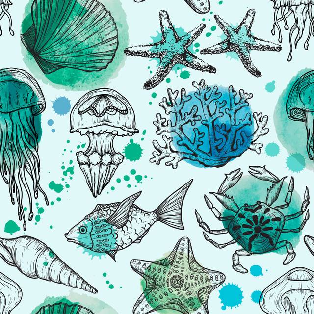 Rybicki Sketch of Sea Shells by Mirifada - Wrapped Canvas Painting (30cm H x 30cm W x 3.8cm D)