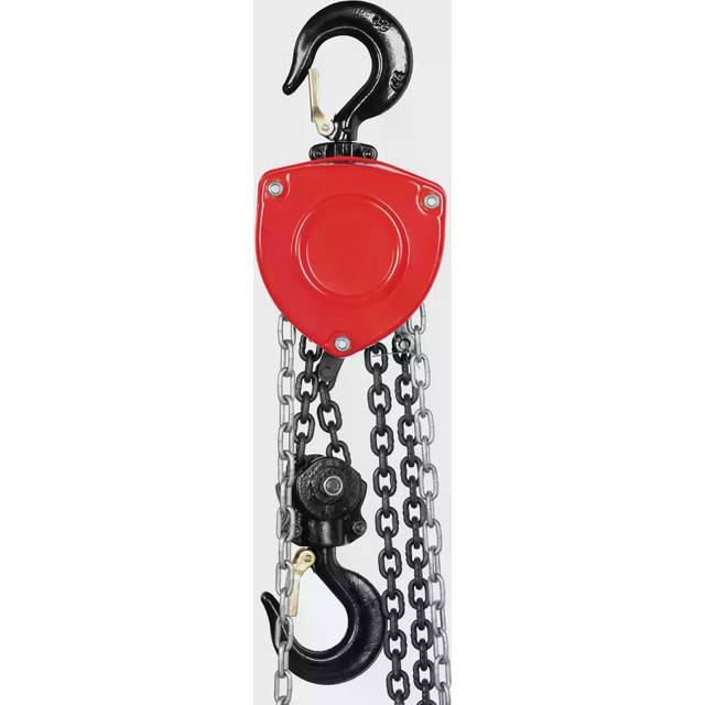 Steinberg Systems Chain Hoist - 2000 kg - 10 m SBS-FZ 2000/10M