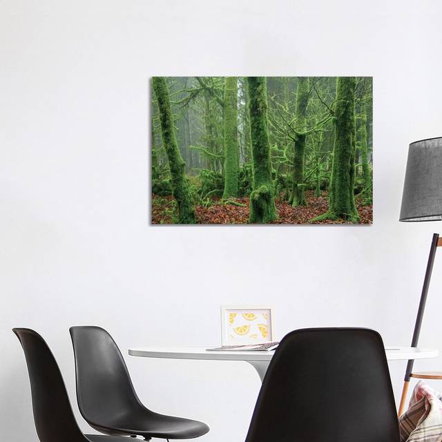 Enchanted Forest I by Adam Burton - Wrapped Canvas Graphic Art (101.6 cm H x 66.04 cm W x 3.175 cm D)