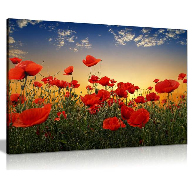 Panther Print Fine Art Prints Red Roses on a Summer's Dawn Artistic Framed Canvas Prints, Pictures for Home Walls, Bedroom, Living Room and Bathroom D (31cm H x 20cm W)