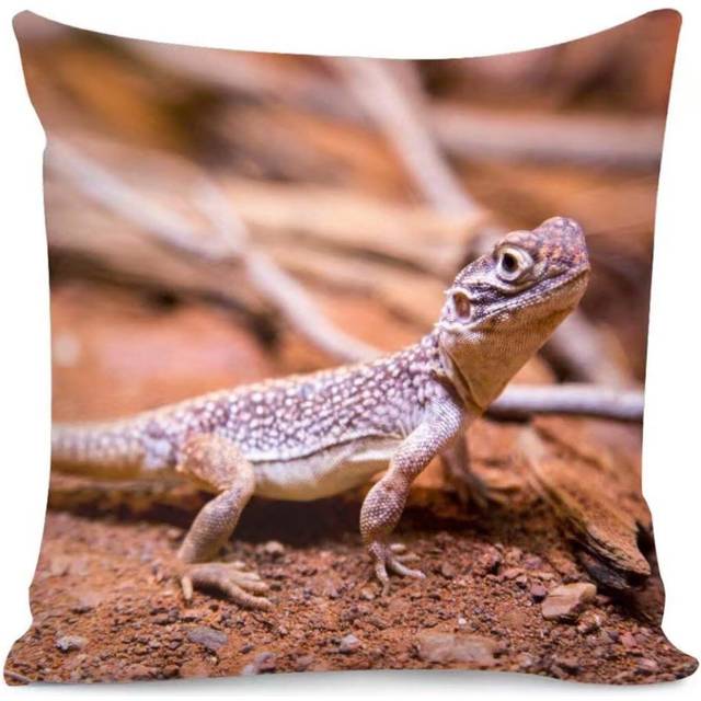 Lizard Home DÃ©cor Custom Patterns Decorative Throw Pillow Covers with Soft Solid Cushion Covers 18 X 18 Inches for Couch Bedroom Car