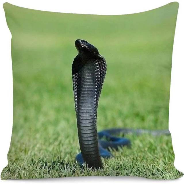 Snake Home DÃ©cor Custom Patterns Decorative Throw Pillow Covers with Soft Solid Cushion Covers 18 X 18 Inches for Couch Bedroom Car