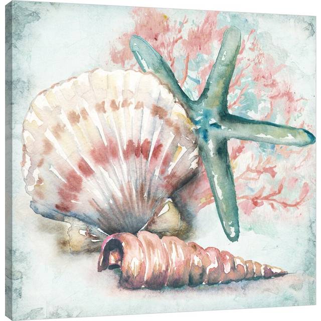 &#39;Sea Shells IV&#39; by Tre Sorelle Studios Watercolour Painting Print on Wrapped Canvas (45.72cm H x 45.72cm W)