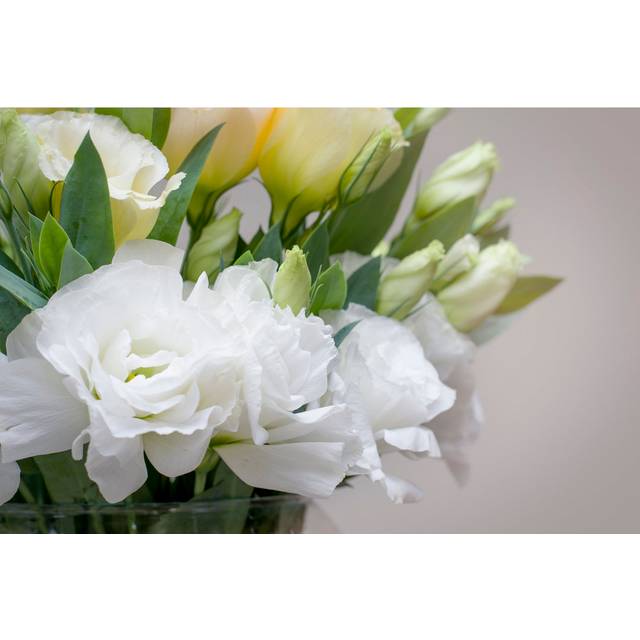 Beautiful White Flower Like Us a White Rose by Liubovi Samoilova - Wrapped Canvas Photograph (30.48cm H x 45.72cm W)