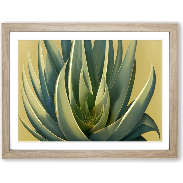 Lush Aloe Vera Plant - Picture Frame Graphic Art - Oak (46cm H x 64cm W x 2cm D)