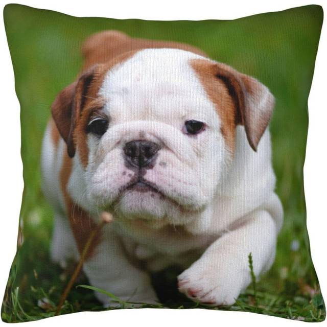 Cute Puppy On The Grass Pillow Case Covers Print Decorative Throw Pillow Covers For Room Sofa cmxcm