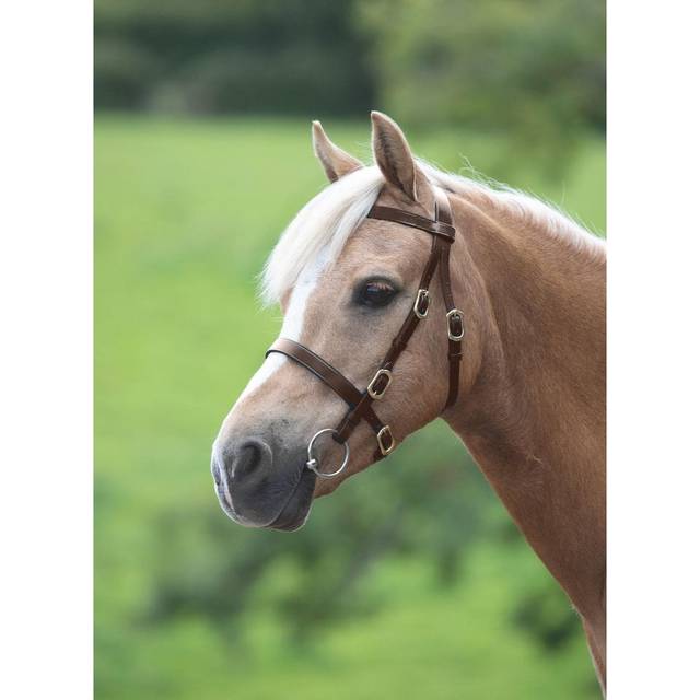 Shires Velociti GARA Plain In-hand Bridle - Havana / Pony