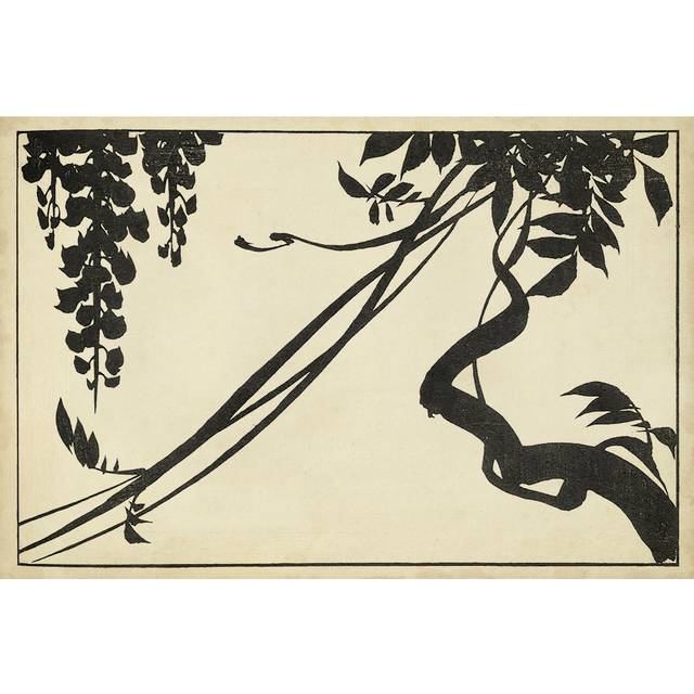 Japanese Wisteria II B - Wrapped Canvas Drawing (20cm H x 30cm W x 3.8cm D)