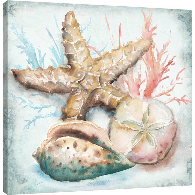 &#39;Sea Shells II&#39; by Tre Sorelle Studios Watercolour Painting Print on Wrapped Canvas (45.72cm H x 45.72cm W)