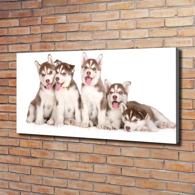 Husky Puppies - Wrapped Canvas Art Prints (60cm H X 120cm W)